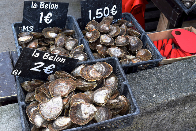 Local Flat Oysters in Cancale, Brittany | www.rachelphipps.com @rachelphipps