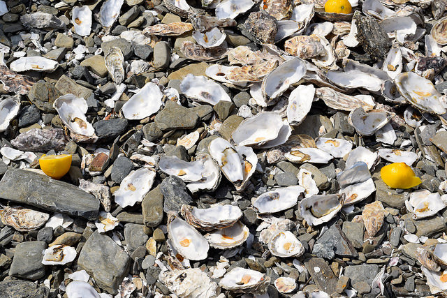 Oyster Shells in Cancale, Brittany | www.rachelphipps.com @rachelphipps