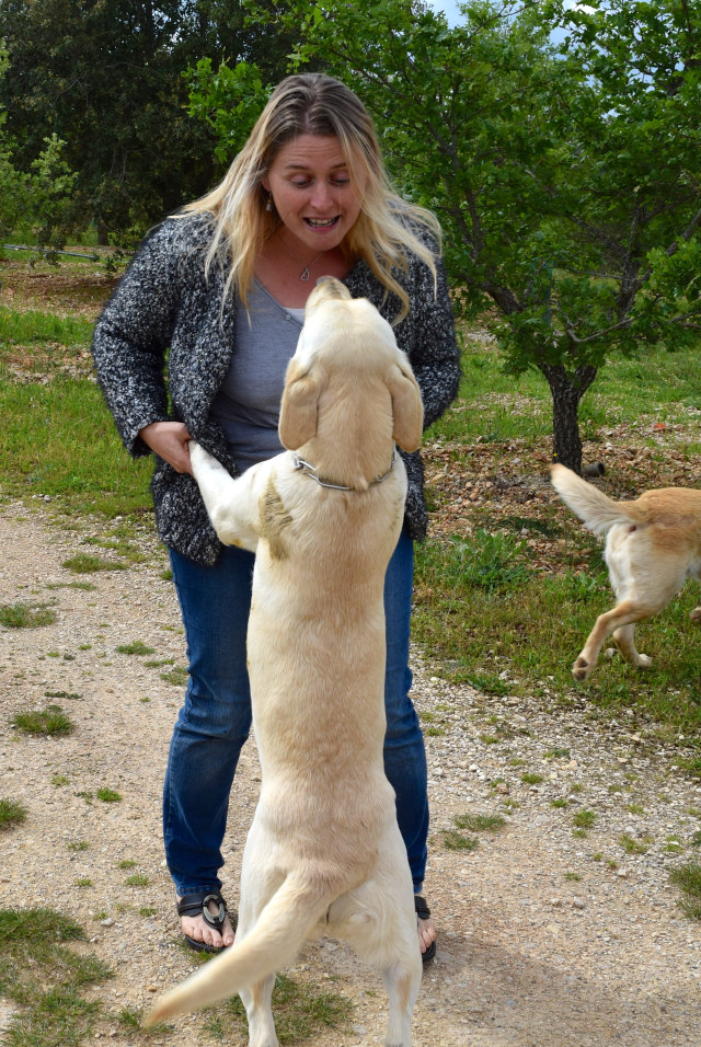 Truffle Dogs in the Dordogne Valley | www.rachelphipps.com @rachelphipps