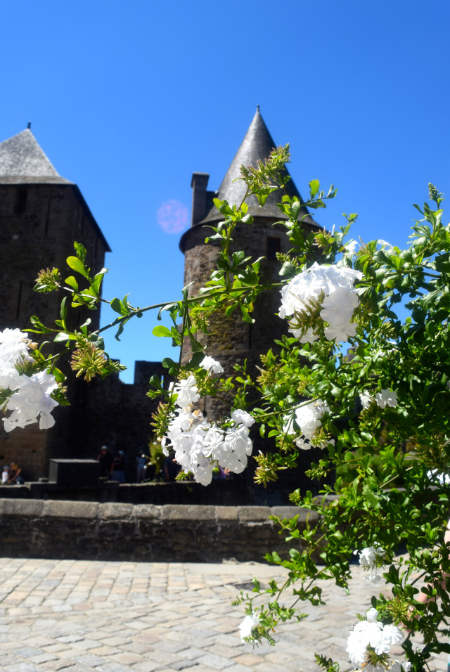Fougeres Castle, Brittany | www.rachelphipps.com @rachelphipps