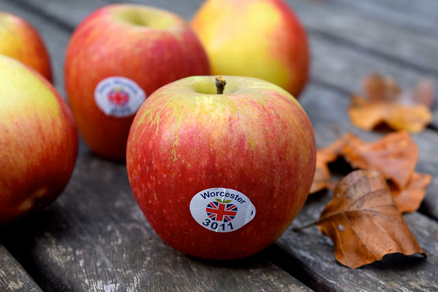 Seasonal British Apples | www.rachelphipps.com @rachelphipps