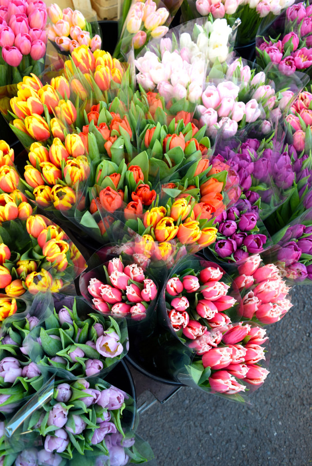 Tulips at Columbia Road Flower Market | www.rachelphipps.com @rachelphipps