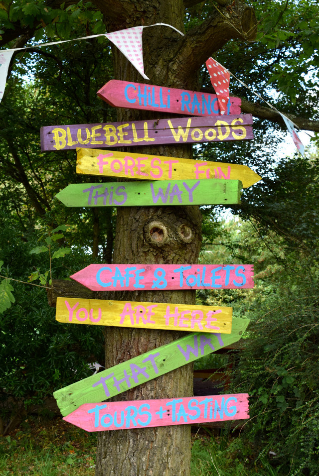 Sign Posts at Edible Ornamentals, Bedfordshire | www.rachelphipps.com @rachelphipps