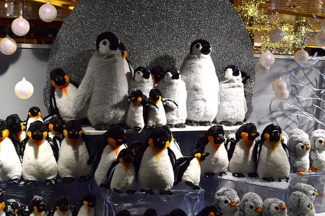 Fenwick Penguin Christmas Windows, Canterbury #christmas