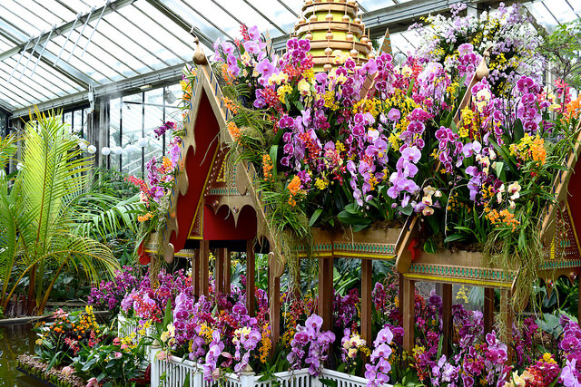Orchid Festival Boat at the Kew Gardens Orchid Festival 2018 #orchids #kewgardens #london