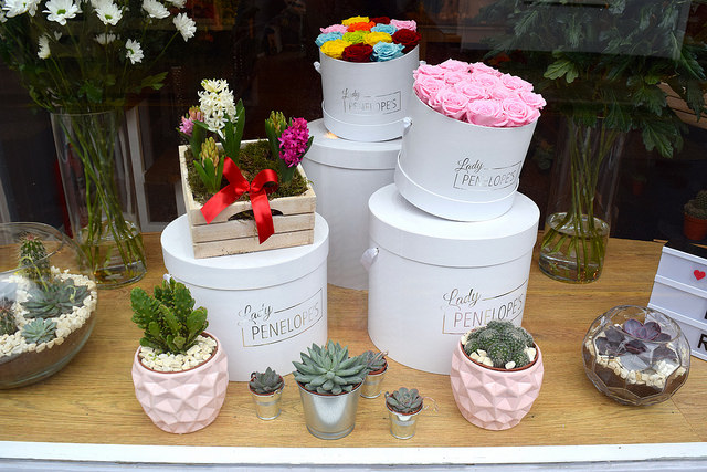 Rose Hat Boxes at Lady Penelope's, Canterbury