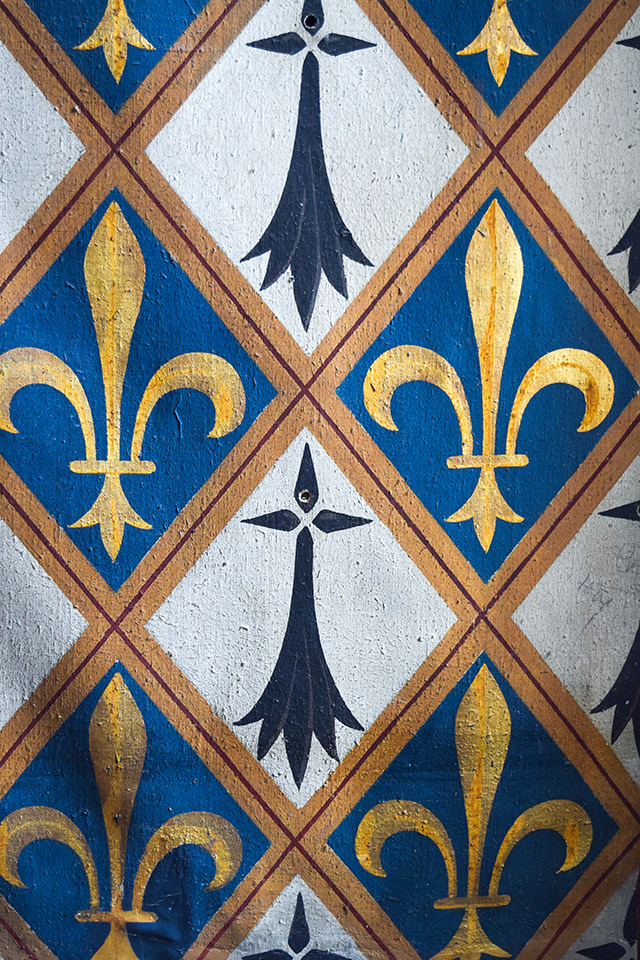 Fleur de Lis Details at Château de Blois #loire #france #chateau #travel