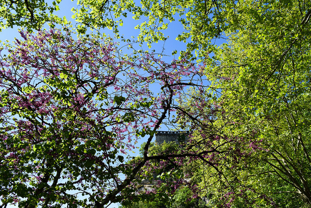Springtime at Rocamadour, Lot #unesco #rocamadour #france #travel #travelguide