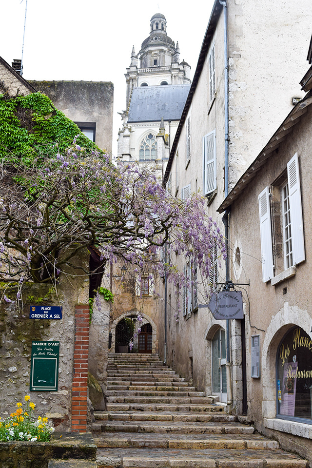 Wysteria in Blois, Loire Valley #loire #france #travel