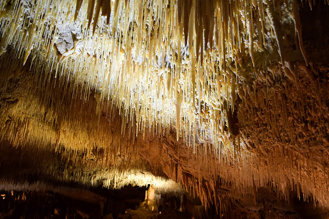 Grottes de Cougnac #caves #france #lot #travel #travelguide