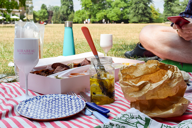 Summertime French Picnic In The Park