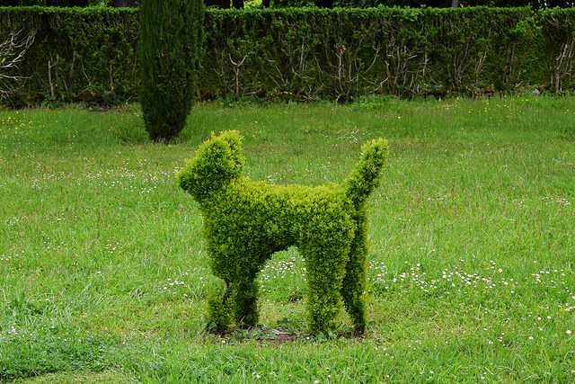 Topiary Cat at the Jardins de Eyrugnac #gardens #eyrugnac #dordogne #france #travel