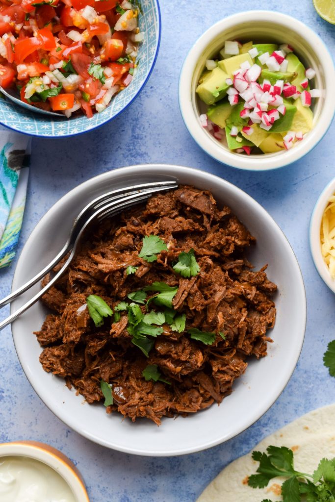 Shredded beef with bowls of salsa and avocado on the side.
