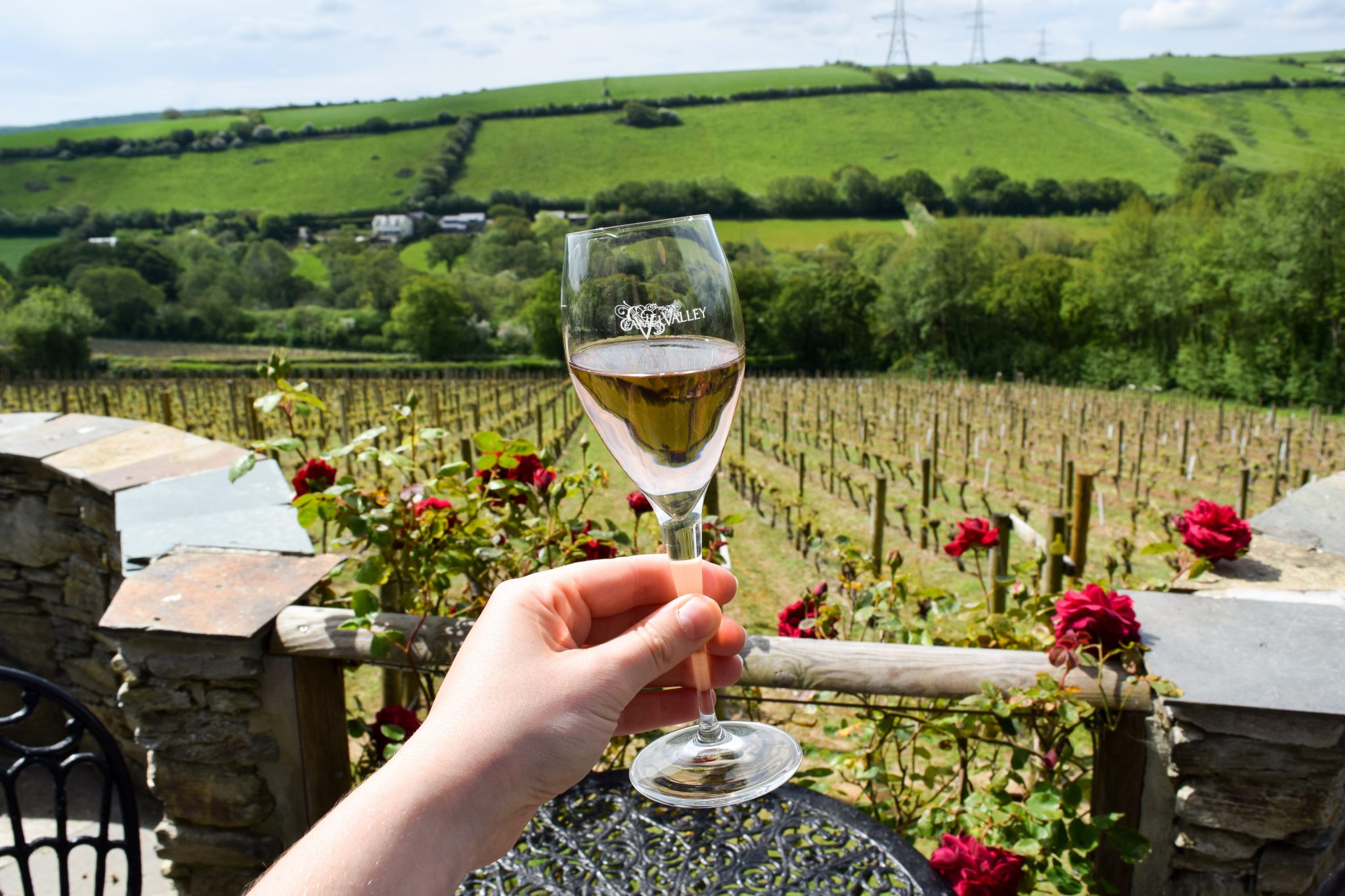 Visiting Two Cornish Vineyards with Cornish Wine Tours Rachel Phipps