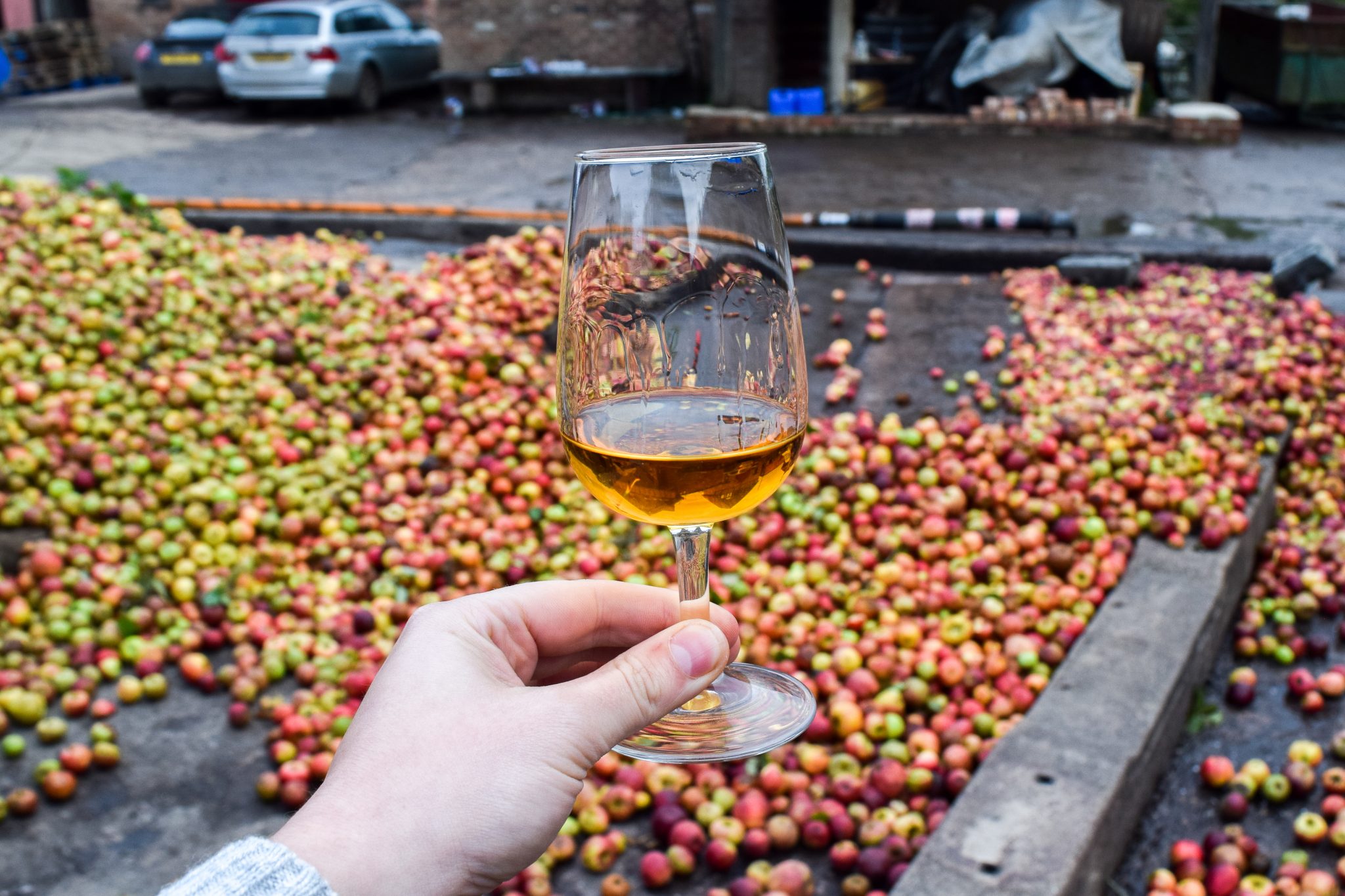 The Tale of Two Somerset Cider & Cider Brandy Orchards Rachel Phipps