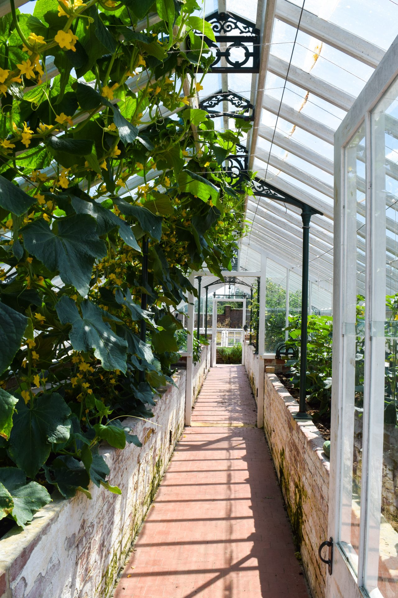 Places To Eat In Kent Water Lane, Hawkhurst Rachel Phipps