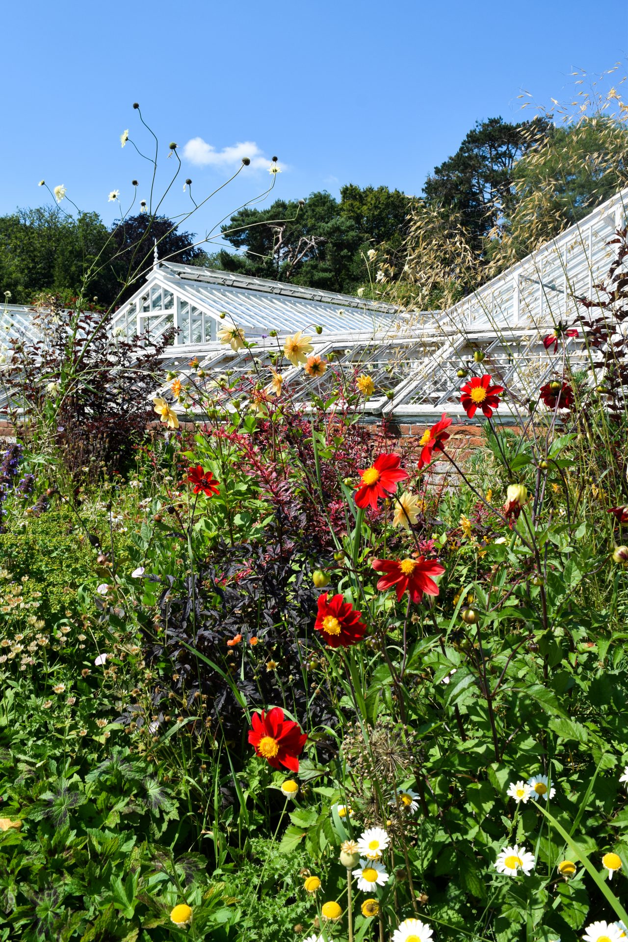Places To Eat In Kent Water Lane, Hawkhurst Rachel Phipps