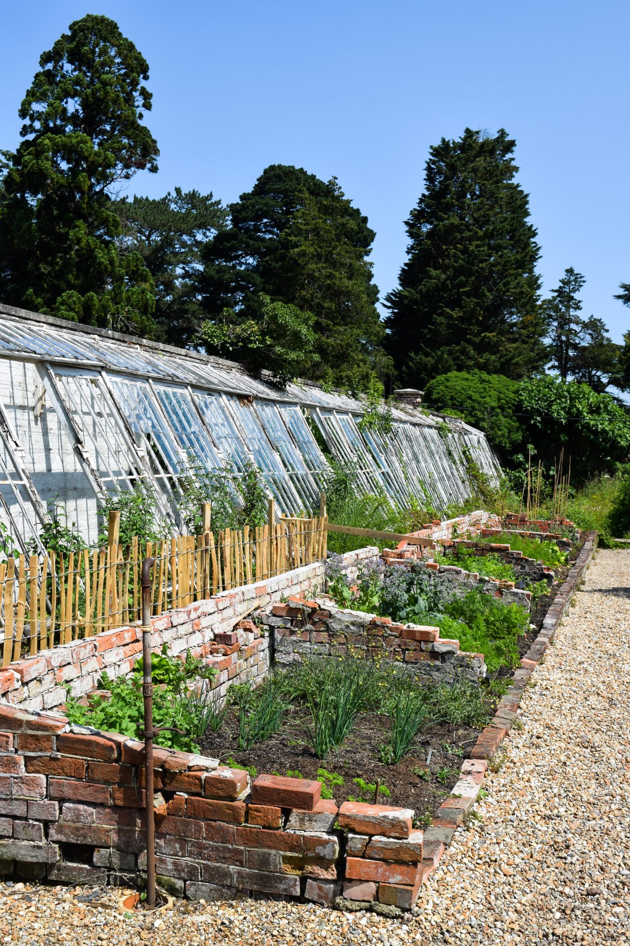 Places To Eat In Kent Water Lane, Hawkhurst Rachel Phipps