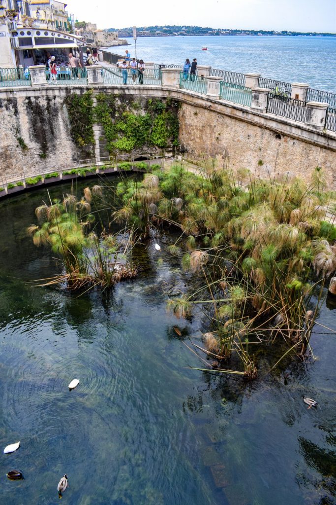 View of the Fountain of Arethusa in Ortigia with the sea visible in the background.