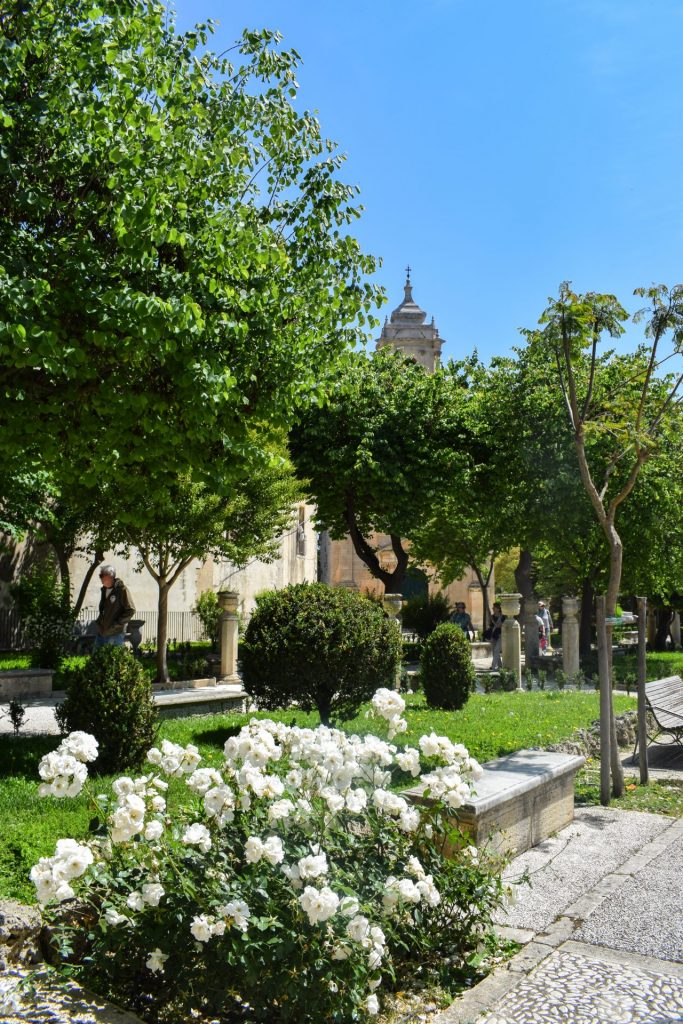 Public garden with white roses in the foreground.