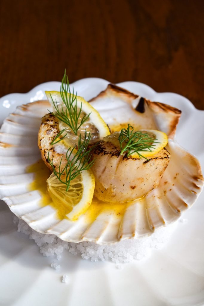 Two seared scallops sitting in a scallop shell topped with dill and lemon slices.